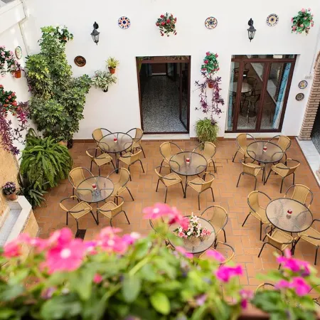 Hotel de Los Faroles Отели рядом с достопримечательностью «Дворец Виана»