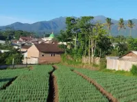 Family Villa Syariah C-33 with Minipool Hotels in Junrejo