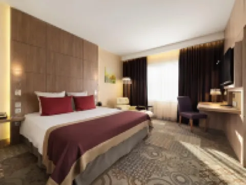 Novotel Moscow Sheremetyevo Airport Hotels in Khimki