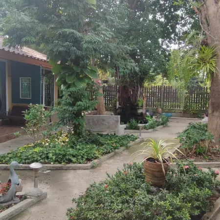 Q Zone Boutique House