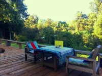 Jungle Guest House