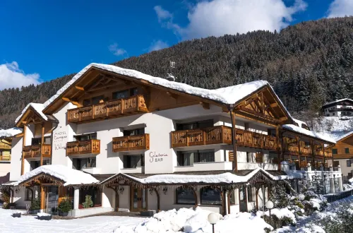 Hotel Europeo Alpine Charme & Wellness - Wifi