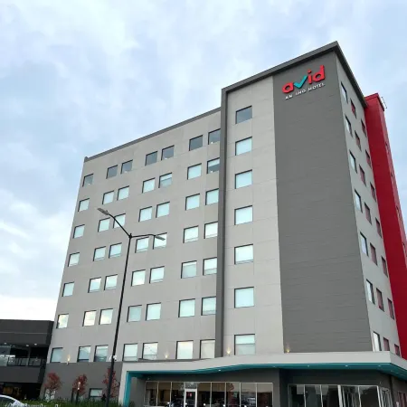 avid hotel GUADALAJARA AV VALLARTA PTE by IHG
