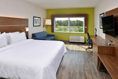 Holiday Inn Express Orlando - South Park