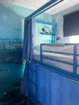Hostelle - Women Only Hostel London
