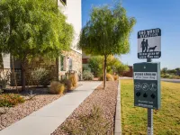 My Place Hotel-Phoenix West/Buckeye, AZ Hotels in Buckeye