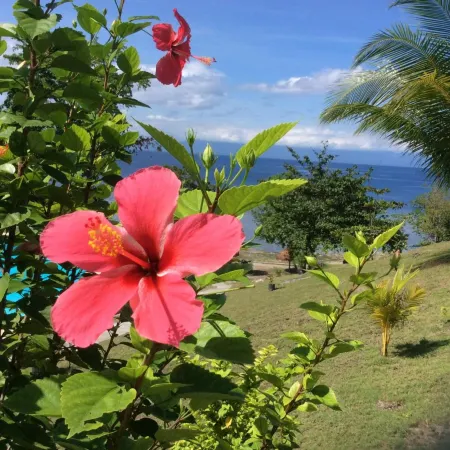 Cuestas Beach Resort and Restaurant