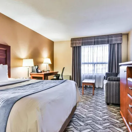 Comfort Inn & Suites Ambassador Bridge