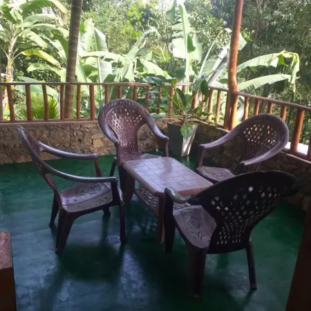 Ella Nature Nest