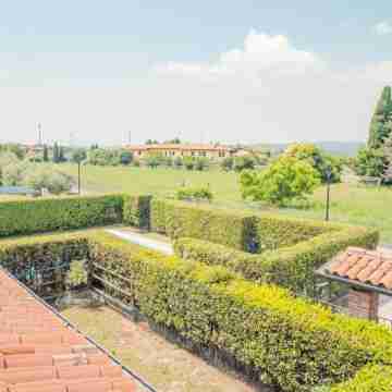 The House in the Vineyard - Italian Homing Others