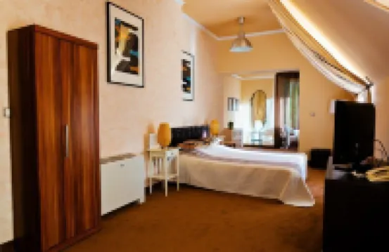 アート ホテル カラシコヴォ のホテル