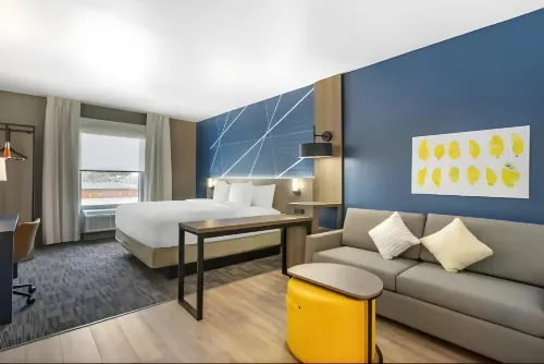 Comfort Inn & Suites New Port Richey Downtown District