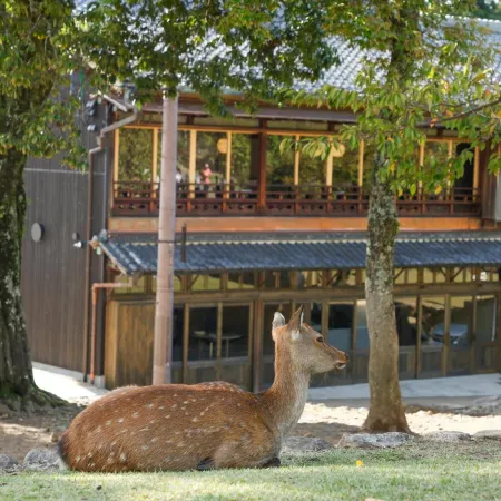 Villa Communico