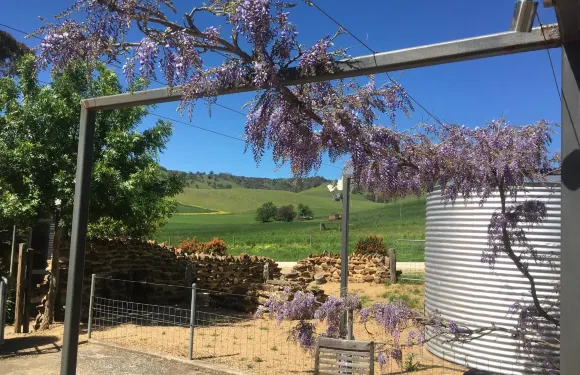 乳牛場小屋住宿加早餐旅館