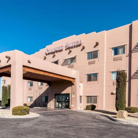 Comfort Suites University