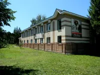 Flamingo Hotels in Almetyevsky District