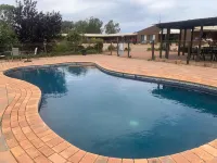 Newell Motor Inn Narrandera - Kolam Renang