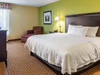 Wingate by Wyndham Conway Hotels in Conway