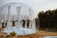 The Three Bubble Houses - bar