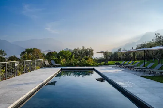 아르코리브 아그리수이트