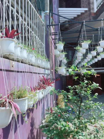 南芳河畔別墅酒店