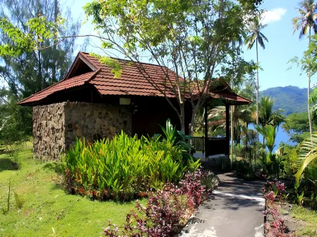 Black Sand Dive Retreat Отели в г. Битунг