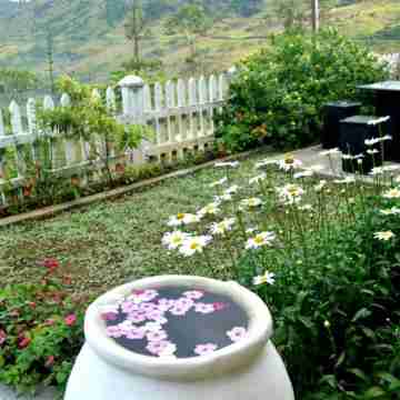 Lassana Holiday Bungalow Hotel Exterior