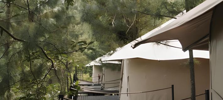 RINDANG Glamping Hotels in Junrejo