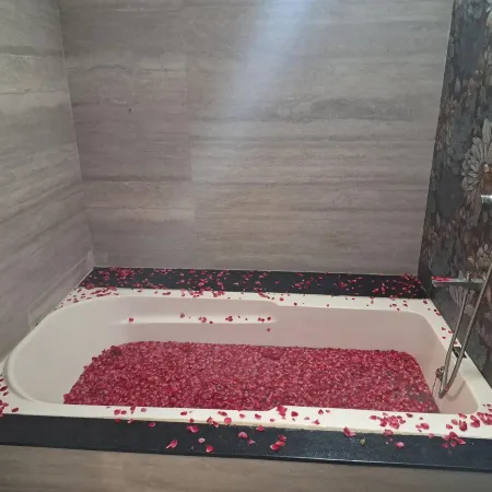 Hotel Aries Pushkar