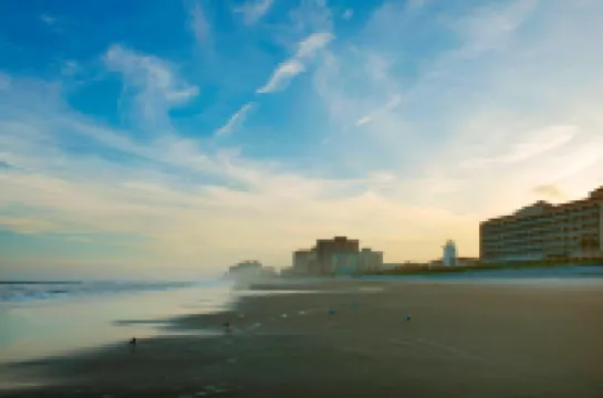 포 포인츠 바이 쉐라톤 잭슨빌 비치프런트 폰테베르다비치 호텔