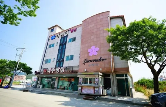 扶安薰衣草旅館