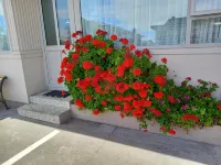 舒適酒店-泰斯塔