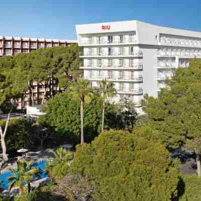 Hotel Riu Festival Hotel Exterior