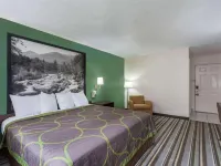 Syracuse Inn Hotels in De Witt
