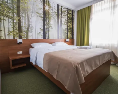 Hotel Comat Deva Hotels in Deva