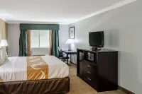 Quality Inn Gulf Shores Airport Hotels in 