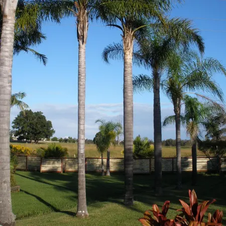 Palms Oasis Motel