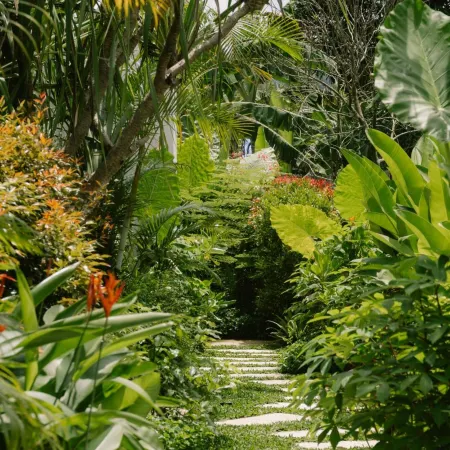 Ananda House