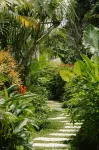 Ananda House - Villas
