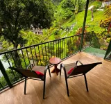 Tabulia Tree - Pet friendly