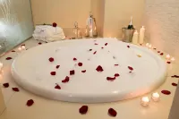 홀리데이 인 몬테비데오 몬테비데오 호텔