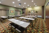Holiday Inn Express & Suites Brady by IHG - Wifi