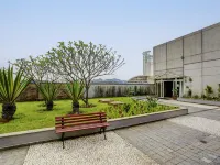 Ibis Tambore