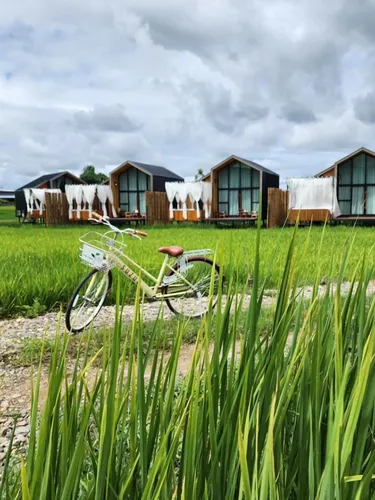 รูปภาพของเดอะฟิลด์แอทปัว The Field Pua