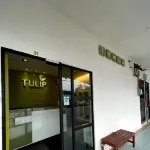 Tulip Hotel Hotels in Ulu Kinta
