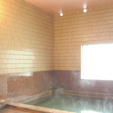 Hotel Senke