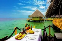 Punta Caracol Acqua Lodge - bar