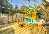 香蕉阿拉恰特美食及住宿-僅限大人