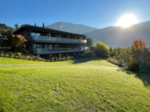 아르코리브 아그리수이트