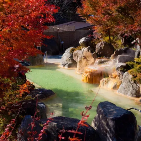 Okuhida Garden Hotel Yakedake Отели рядом с достопримечательностью «Хираю Горячие источники»